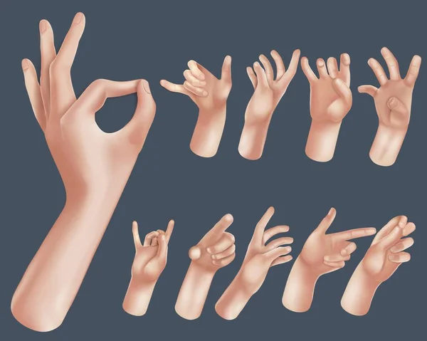 Tecknade 3D-händer. Realistisk vektorhand. Fredstecken, ok sign tap, peka ut hand, high five hand Män och kvinnor armar Dekoration 3d objekt isolerad. Vektorillustration — Stock vektor