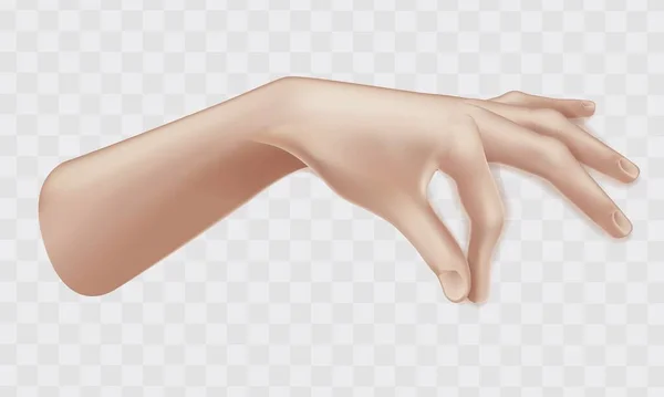 Isolado realista 3D mão aberta ilustrações. Fundo de ilustração vetorial 3D. Abra a mão estendida, mostrando cinco dedos, estendida em saudação. — Vetor de Stock