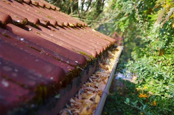 Cleaning the roof from fallen leaves. Home maintenance. A clean gutter in the autumn season.