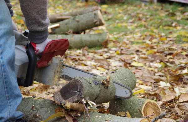 Cięcie Drewna Piłą Łańcuchową Przygotowanie Drewna Opałowego Robotnik Piłą Elektryczną — Zdjęcie stockowe