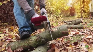 Elinde elektrikli testereyle odun kesen adam. Oduncu işteymiş. Kış mevsimi için odun hazırlıyorum..