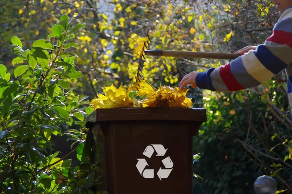 Autumn leaf cleaning in the garden. The man rakes the leaves in the park and throws it into the bin.