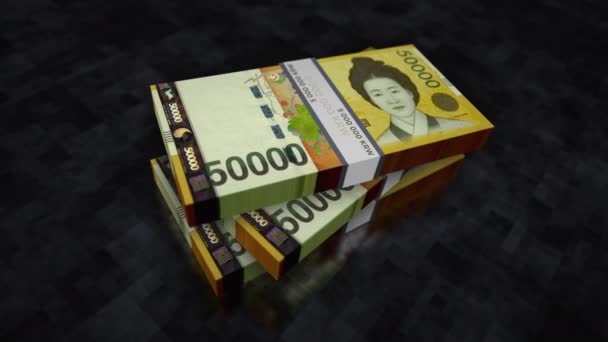 Південна Корея Виграла Купу Грошей Концепція Розвитку Економіки Банківської Справи — стокове відео