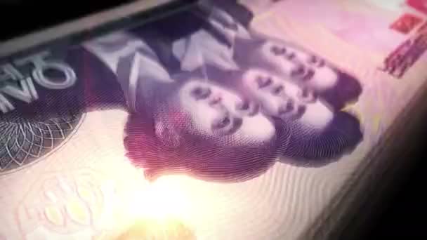 Північна Корея Виграла Підрахунок Грошей Банкноти Kpw Швидкі Грошові Купюри — стокове відео