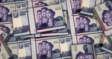 Kuzey Kore Won 'u 3D animasyonu finanse ediyor. Kamera görüntüsü şehirlerarası. KPW para paketleri. Enflasyon, ekonomi, kriz, iş, bankacılık, borç ve finans kavramı.