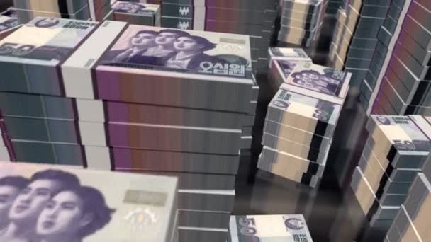Noord Korea Won Geld Biljetten Packs Lus Vlucht Kpw Bankbiljetten — Stockvideo