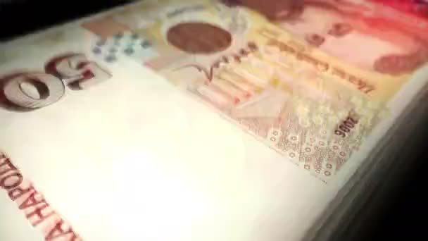 Bulgaria Leva Money Counting Bgn Banknotes Fast Cash Note Count — Vídeo de stock