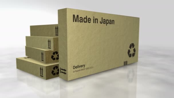 Made Japan Box Production Line Manufacturing Delivery Product Factory Export — Vídeo de Stock