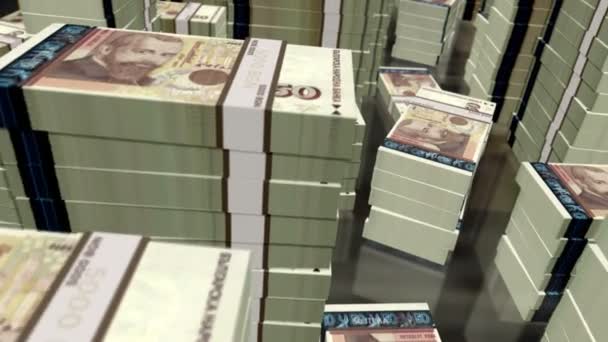 Bulgaristan Leva Para Paketleri Döngüsü Bgn Banknotları Üzerinde Uçuş Kuleleri — Stok video