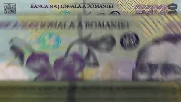 Máquina Conteo Dinero Lei Rumana Con Billetes Moneda Ron Rápida — Vídeos de Stock