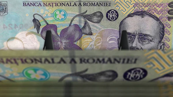 Romanian Lei Money Pack Illustration Ron Banknote Bundle Stacks Concept — Stock Photo, Image