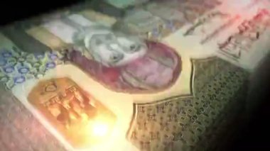 Umman Rial para sayımı. OMR banknotları. Hızlı para sayım makro döngüsü. İş ve ekonomi döngüsel ve sorunsuz bir kavram.