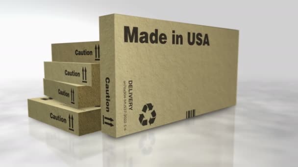 Fabricado Usa Línea Producción Caja Fabricación Entrega Fábrica Productos Importación — Vídeo de stock