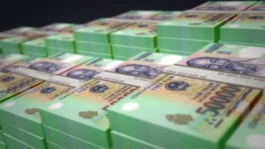 Vietnamlı Dong 'un banknotları büyümeye devam ediyor. Zührevi hastalıklar para yığını. Vietnam 'da nakit, bankacılık, seyahat, iş, ekonomi ve finans kavramı. Döngüsüz 3D canlandırma.