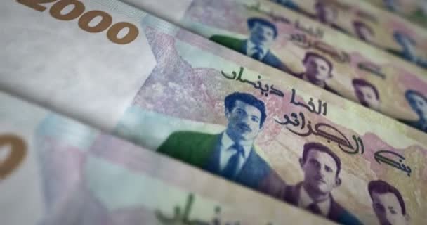 Algerische Dinar Banknotenschleife Dzd Geld Textur Konzept Der Wirtschaft Wirtschaft — Stockvideo