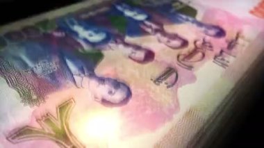 Cezayir Dinarı 'nın parası sayılıyor. DZD banknotları. Hızlı para sayım makro döngüsü. İş ve ekonomi döngüsel ve kusursuz bir kavram. Cezayir 'de ekonomi ve iş.