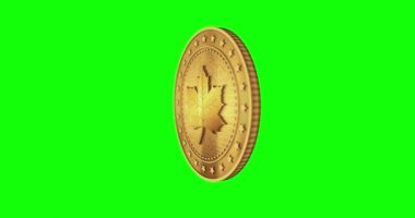Akçaağaç Yaprağı Kanadalı izole edilmiş altın sikke yeşil ekran döngülü arka plan. Dönen altın metal döngüsü soyut kavram. 3B döngü kusursuz canlandırma.