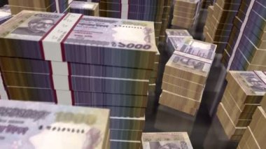 Bangladeşli Taka para paketleri döngüsü. BDT 'nin 3D uçuşu 1000' den fazla banknot kuleleri istifliyor. Bangladeş 'te iş dünyası, ekonomi krizi ve finans konularında kusursuz bir özgeçmiş kavramı.