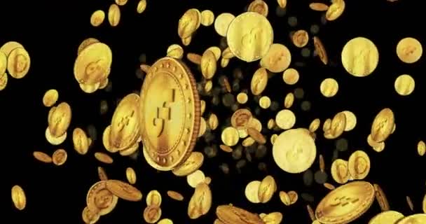 Flow Altcoin Cryptocurrency Μια Πτήση Looped Μεταξύ Χρυσά Νομίσματα Αποσπώμενο — Αρχείο Βίντεο