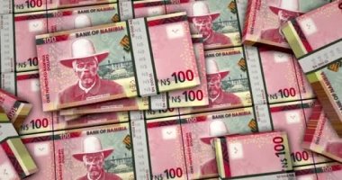 Namibya Doları 3 boyutlu animasyonu destekler. Kamera görüntüsü şehirlerarası. NAD para paketleri. Namibya 'da enflasyon, ekonomi, kriz, iş, bankacılık, borç ve finans kavramı.