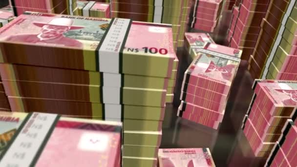 Namibijskie Banknoty Dolarowe Pętlą Lot Ponad 100 Banknotów Nad Układa — Wideo stockowe