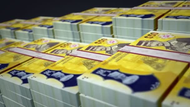 Brunei Doları Banknot Büyümesi Döngüsü Bnd Para Yığınları Para Paketi — Stok video