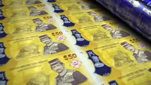 文莱元钞票印刷滚筒机循环 纸Bnd钞票打印3D环路无缝 银行业 经济和危机的抽象概念 — 图库视频影像