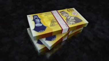Brunei dolar yığını. Ekonomi, bankacılık, iş, kriz, durgunluk, borç ve finans konularının kavramı. 50 BND banknotları 3D animasyon yığınları.