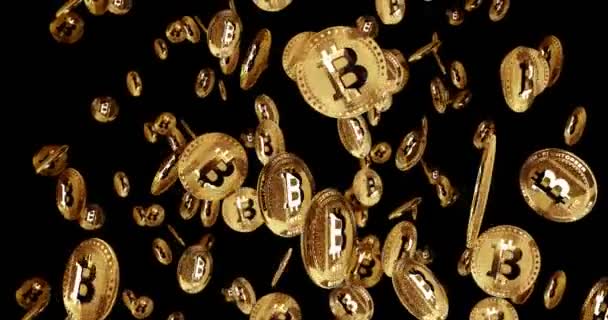 Bitcoin Btc Cryptocurrency Isolated Gold Coin Rain Background Rotating Golden — Stock Video