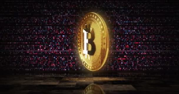 Koin Emas Cryptocurrency Bitcoin Btc Pada Latar Belakang Layar Digital — Stok Video