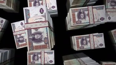 Moğol Togrog, Tugrik para çantaları döngüsü. 100 MNT 'den fazla 3D uçuş. Moğolistan 'da iş dünyası, ekonomi krizi ve finans konularında kusursuz bir özgeçmiş kavramı.