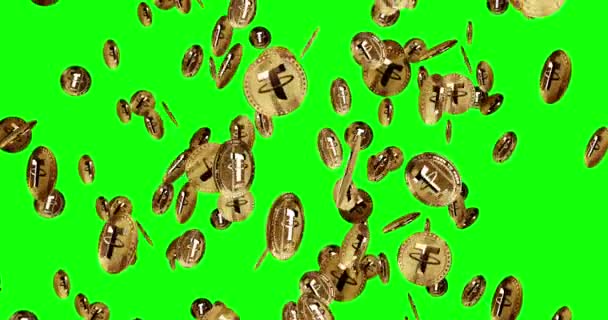 Tether Usdt Stablecoin Kryptowährung Isoliert Goldmünzen Regen Hintergrund Rotierende Goldene — Stockvideo