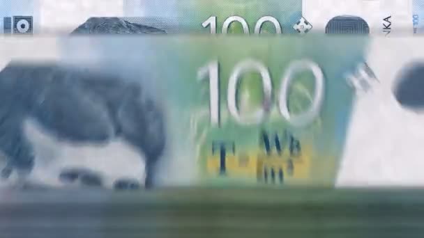 Srbský Stroj Počítání Peněz Dináry Bankovkami Rychlá Rotace Směnky Rsd — Stock video