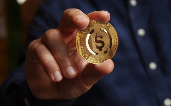 USDC USD Bozuk Para durağan kripto altın para elde soyut konsept