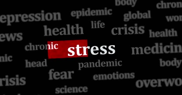 Títulos Noticias Través Medios Web Internacionales Con Búsqueda Estrés Salud — Vídeo de stock