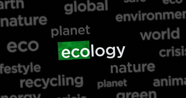 Títulos Noticias Través Medios Web Internacionales Con Ecología Medio Ambiente — Vídeo de stock