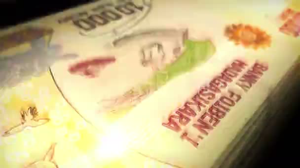 Madagascar Money Malagasy Ariary Money Counting Mga Banknotes Fast Cash — 图库视频影像