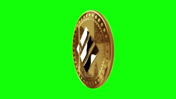 Binance Busd Stablecoin Cryptocurrency Isolated Gold Coin Green Screen Loopable — Stock video