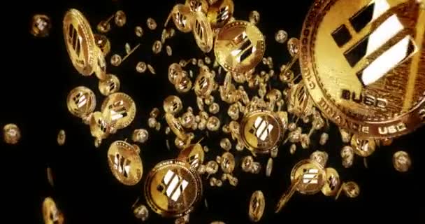 Binance Busd Стабільна Криптовалюта Ізольована Між Фоном Золотих Монет Обертаються — стокове відео