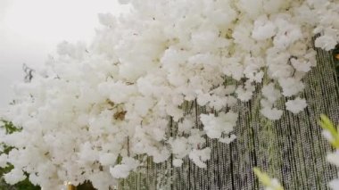 Çiçeklerin renkleri solmuş düğün süslemeleri. Dışarıdaki düğün için çerçeve parkta, geleceği kapat