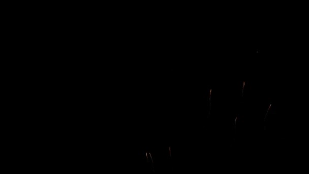 Véritable fond de feu d'artifice brillant feux d'artifice avec des lumières bokeh dans le ciel nocturne. Gros plan — Video