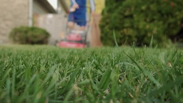 Мужчина стриг траву газонокосилкой во дворе дома рядом с качелями на детской площадке. Медленное движение — стоковое видео