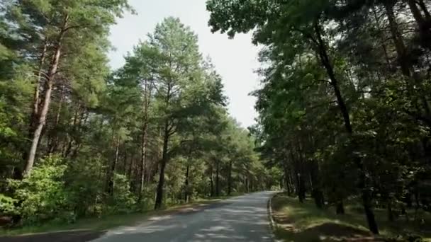 El coche va en la carretera a través de un bosque de pinos. Vista amplia — Vídeos de Stock
