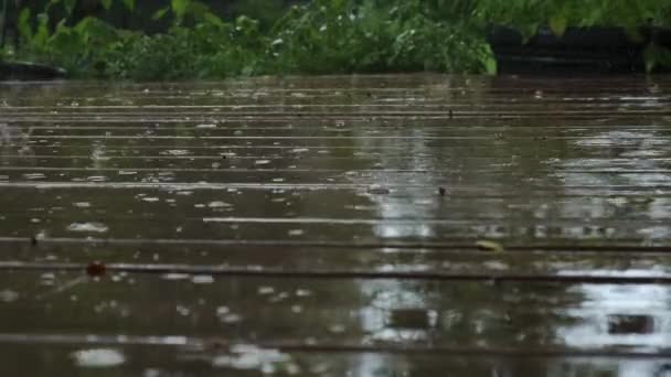 Regen Auf Den Holzboden Hochwertiges Filmmaterial — Stockvideo