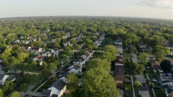 Drüber Drohnenaufnahme von Immobilien in einem amerikanischen Vorort zur Sommerzeit. Blick auf Wohnhäuser in der Nachbarschaft . — Stockvideo