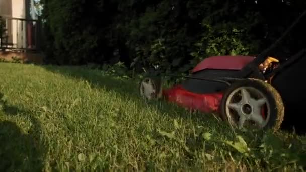 L'uomo ha tagliato l'erba con tosaerba nel cortile della casa vicino altalena nel parco giochi. Futage rallentatore. — Video Stock