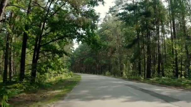 La macchina nera va per strada attraverso una foresta di pini. Ampia vista futage — Video Stock