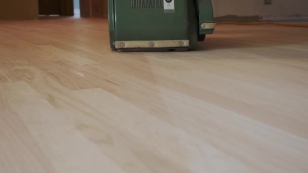 Uomo levigare un parquet in legno con una levigatrice per parquet. Vista da vicino — Video Stock