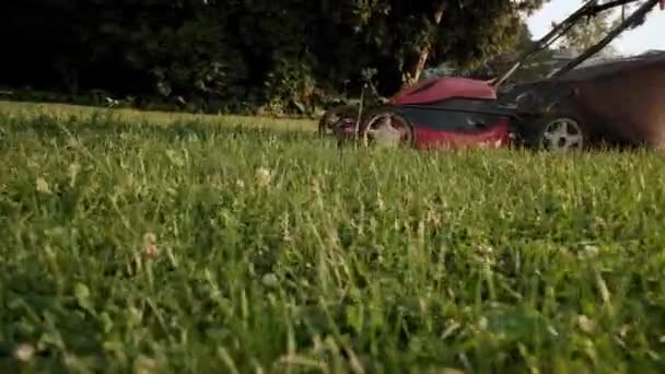 Человек косил траву косилкой во дворе дома рядом с качелями на детской площадке. Фьютаж медленного движения — стоковое видео