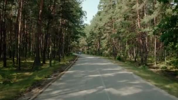 El coche va en la carretera a través de un bosque de pinos. Fusión amplia — Vídeos de Stock